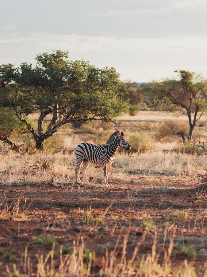Jansen Kalahari Guest Farm Villa Hoachanas Kültér fotó