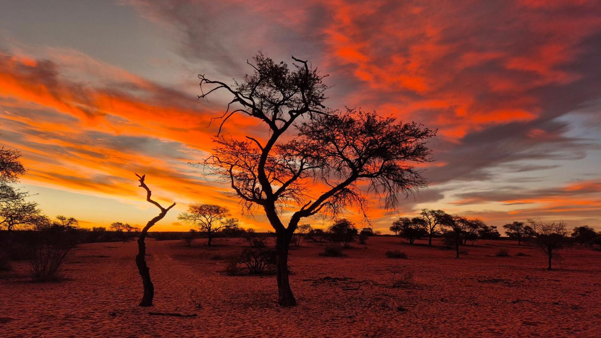 Jansen Kalahari Guest Farm Villa Hoachanas Kültér fotó